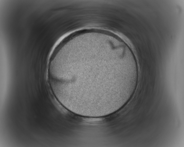 X0000086231296200704191751