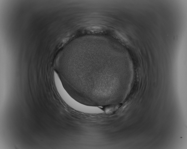 X0000086231298200704191751