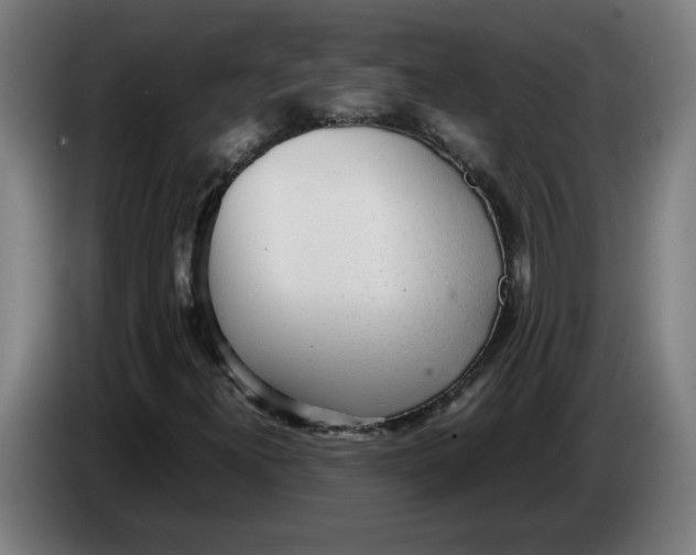 X0000086231300200704191751