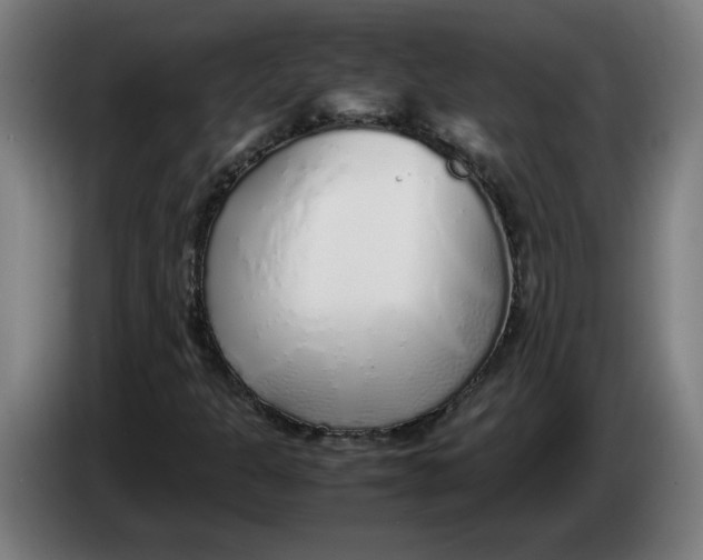 X0000086231301200704191751