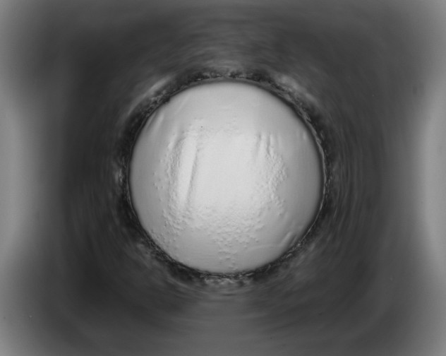 X0000086231302200704191751