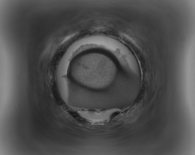 X0000086231303200704191751