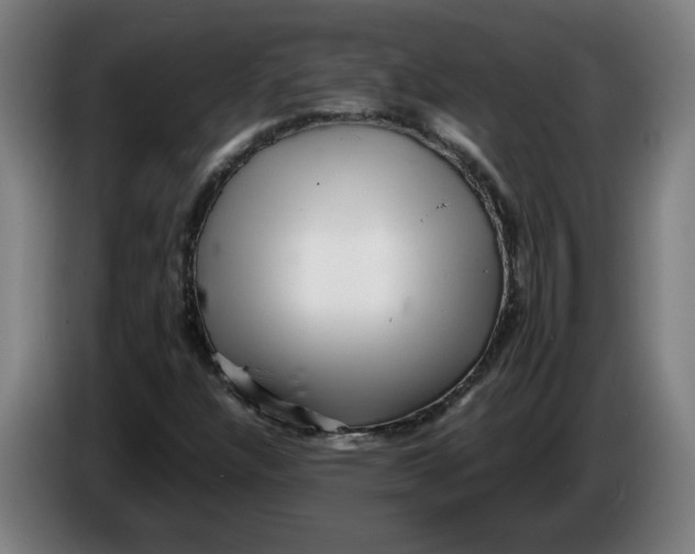 X0000086231304200704191751