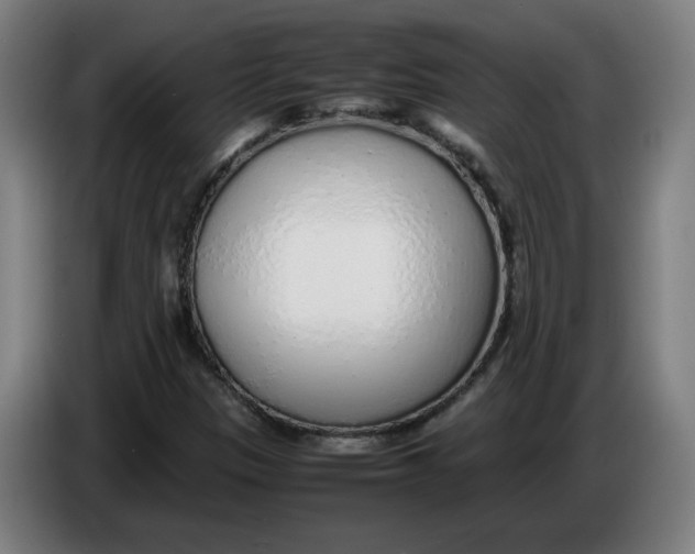 X0000086231305200704191751