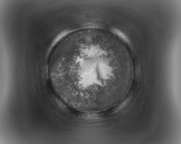 X0000086231310200704191751