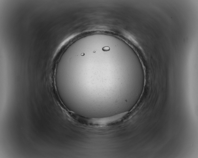 X0000086231312200704191751