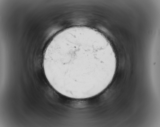 X0000086231314200704191751