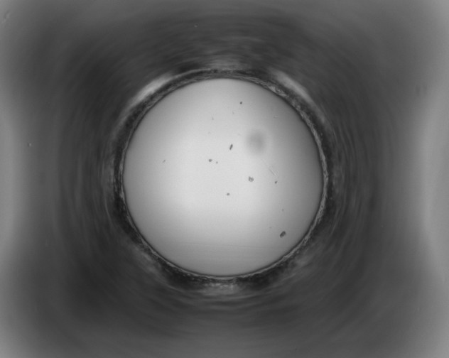 X0000086231315200704191751