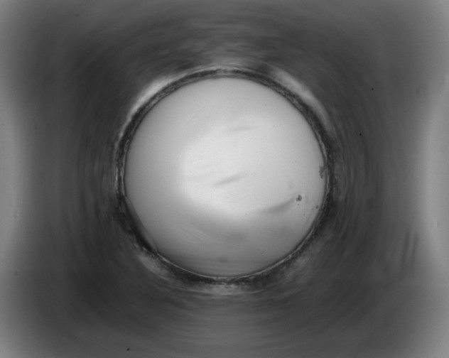 X0000086231316200704191751