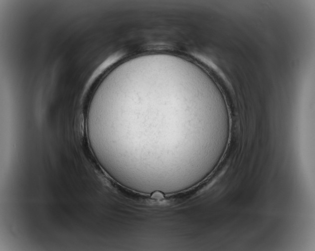 X0000086231317200704191751