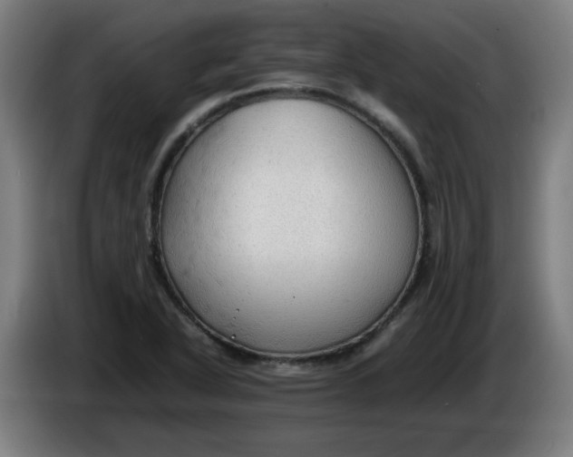 X0000086231318200704191751