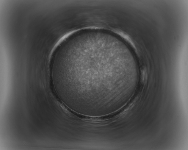 X0000086231319200704191751