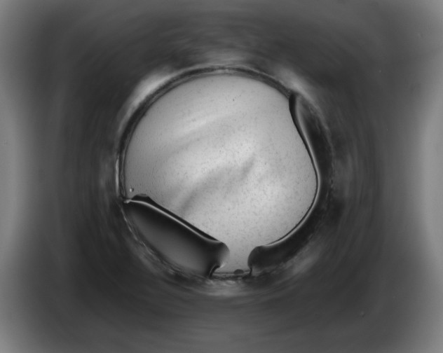 X0000086231320200704191751