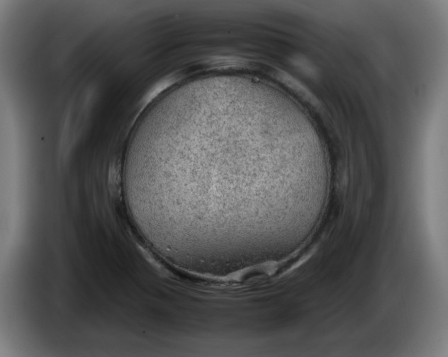 X0000086231321200704191751