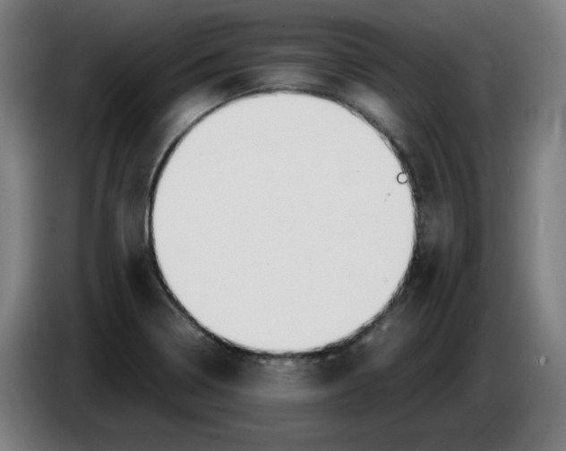 X0000086231322200704191751