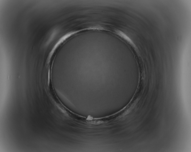 X0000086231323200704191751