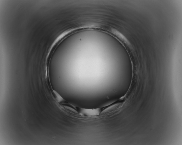 X0000086231324200704191751