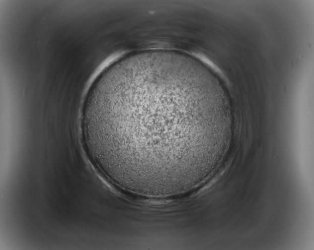 X0000086231325200704191751