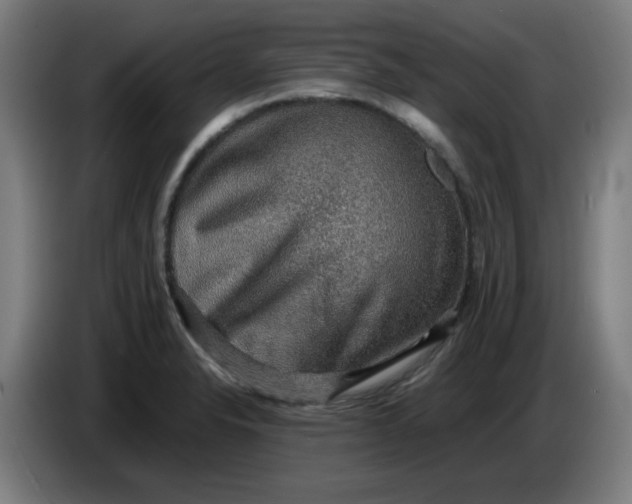 X0000086231326200704191751