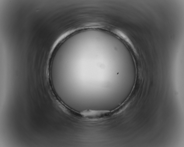 X0000086231328200704191751