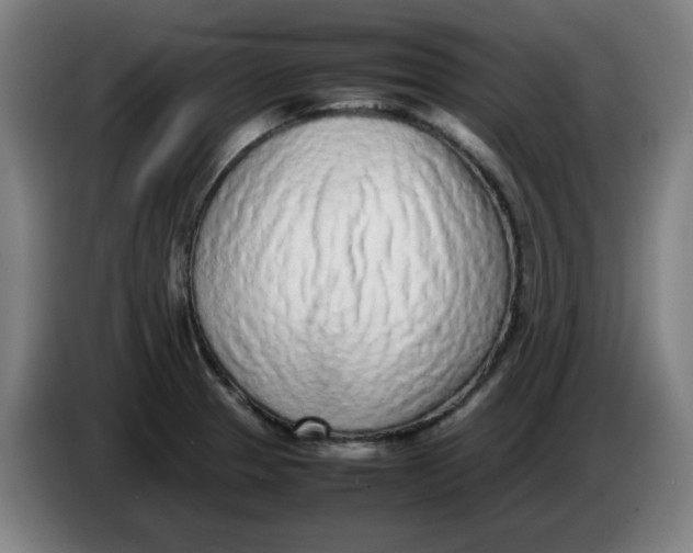 X0000086231329200704191751