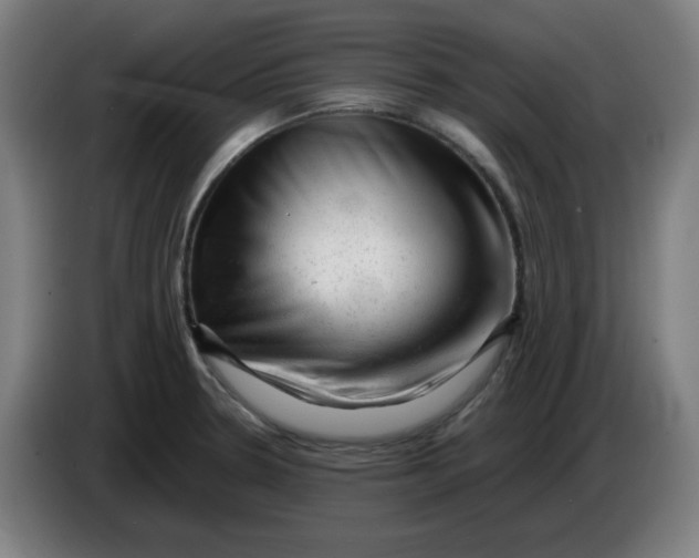 X0000086231330200704191751