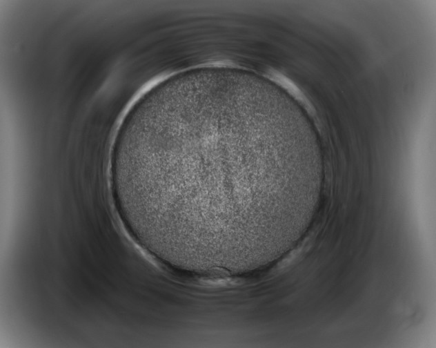 X0000086231331200704191751