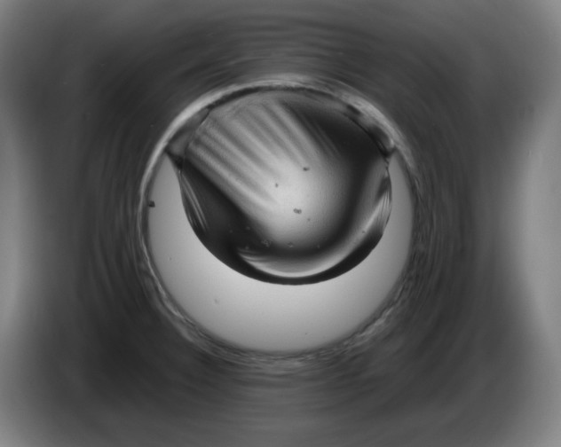 X0000086231332200704191751