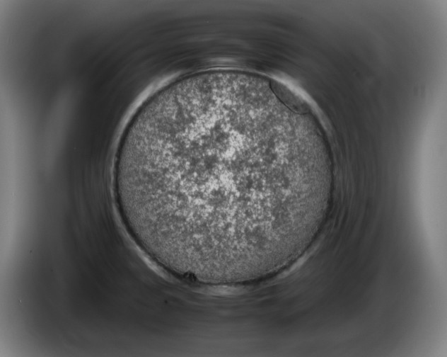 X0000086231333200704191751