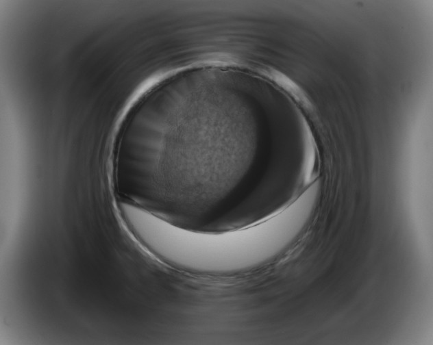 X0000086231334200704191751