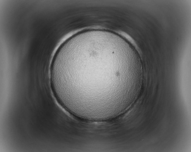 X0000086231335200704191751