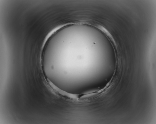 X0000086231336200704191751