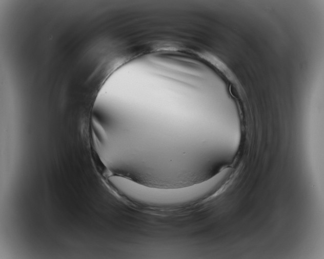 X0000086231337200704191751