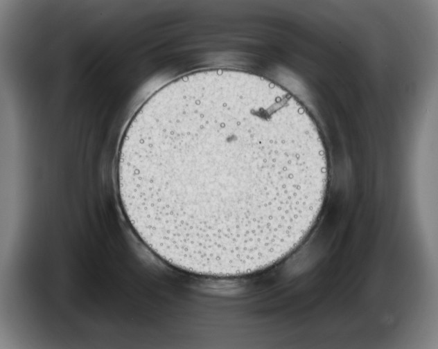 X0000086231338200704191751