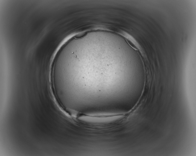 X0000086231339200704191751