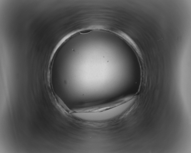 X0000086231340200704191751