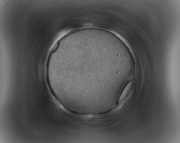 X0000086231341200704191751