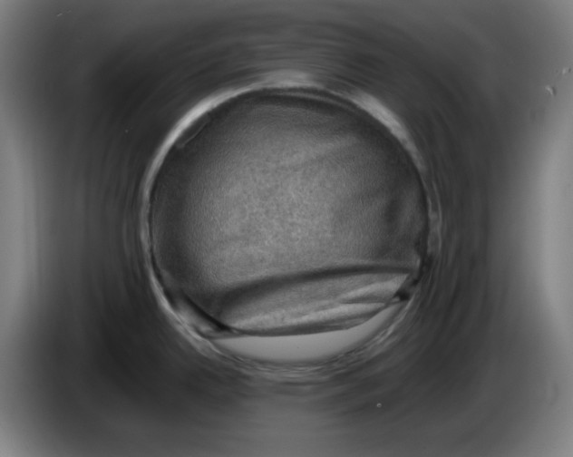 X0000086231342200704191751