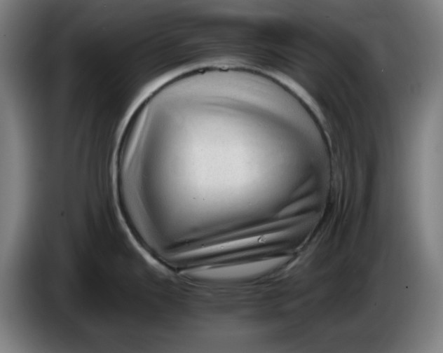 X0000086231343200704191751