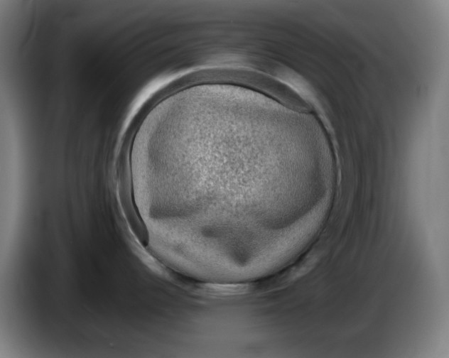 X0000086231344200704191751