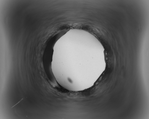 X0000086231345200704191751