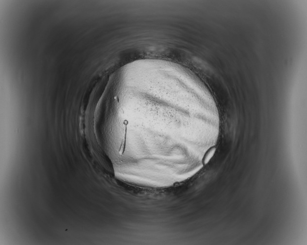 X0000086231346200704191751