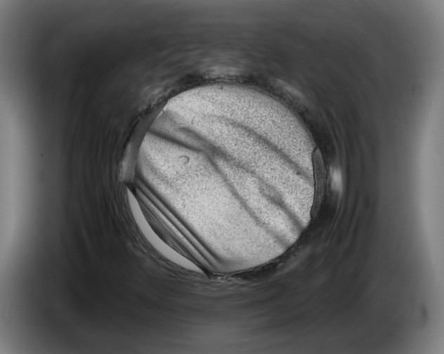 X0000086231348200704191751