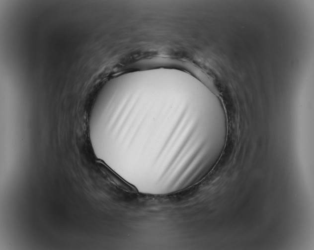 X0000086231349200704191751