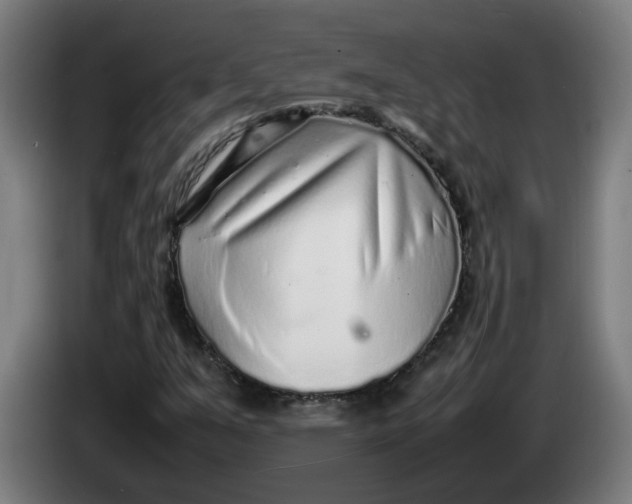 X0000086231351200704191751