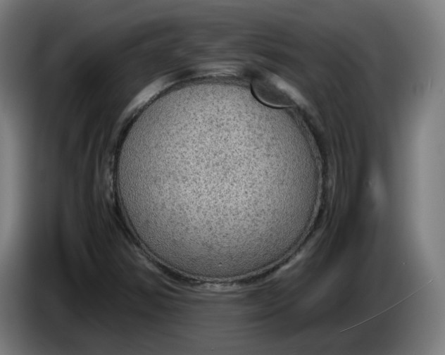 X0000086231354200704191751