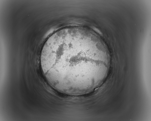 X0000086231355200704191751