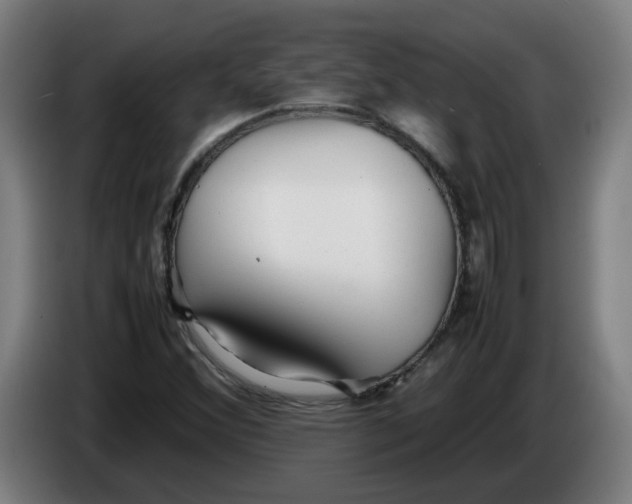 X0000086231356200704191751