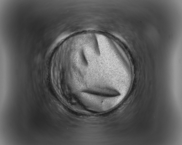 X0000086231359200704191751