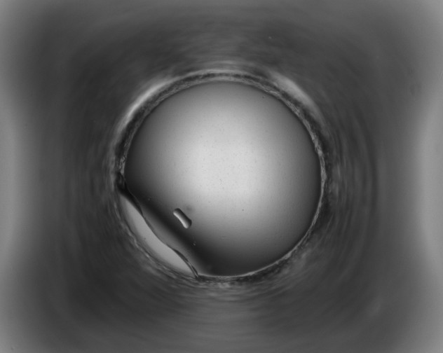 X0000086231360200704191751